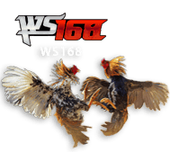 ws168 DEPO55