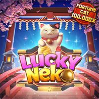 neko DEPO55