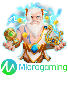 microgaming DEPO55